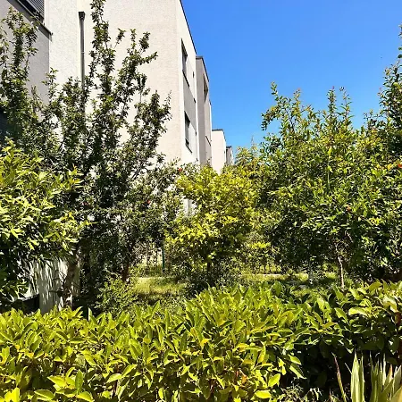 Valamar Lunar Apartamento Hamallaj